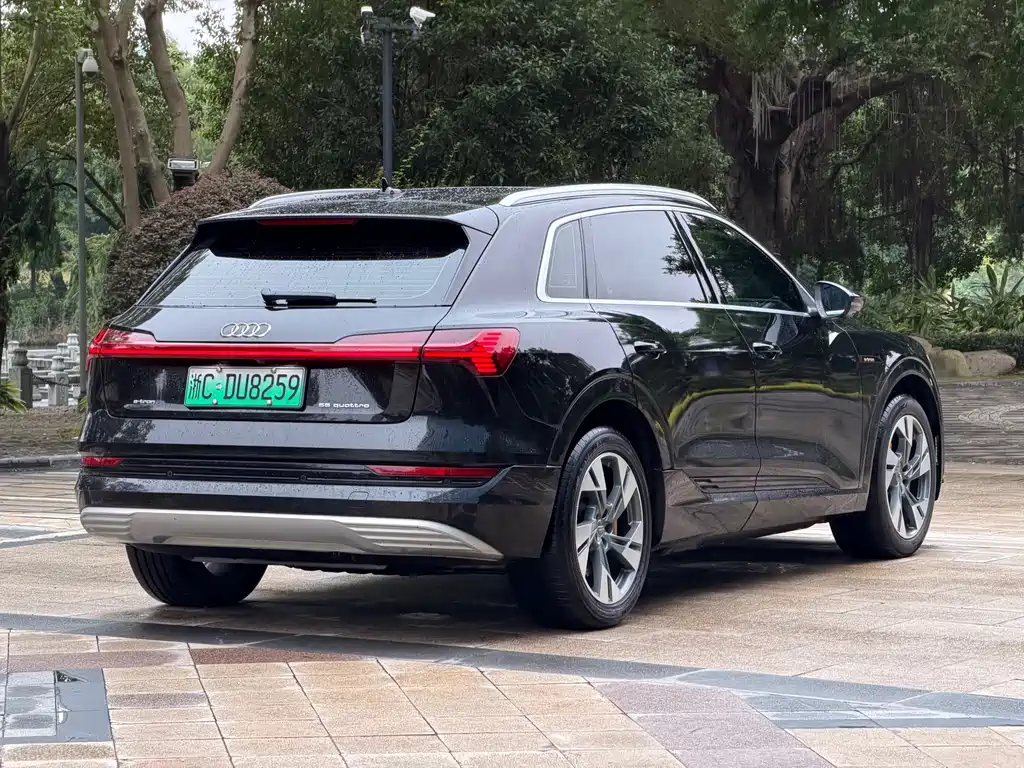 Audi e-tron (Import) — фото 4