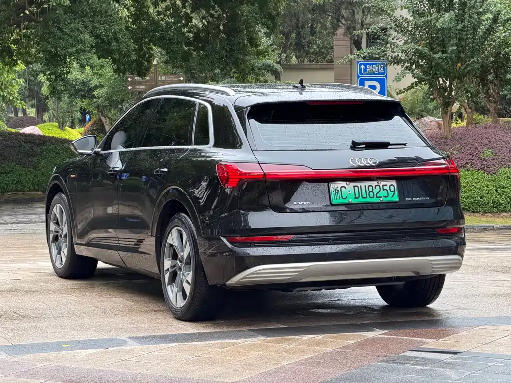 Audi e-tron (Import) — фото 6