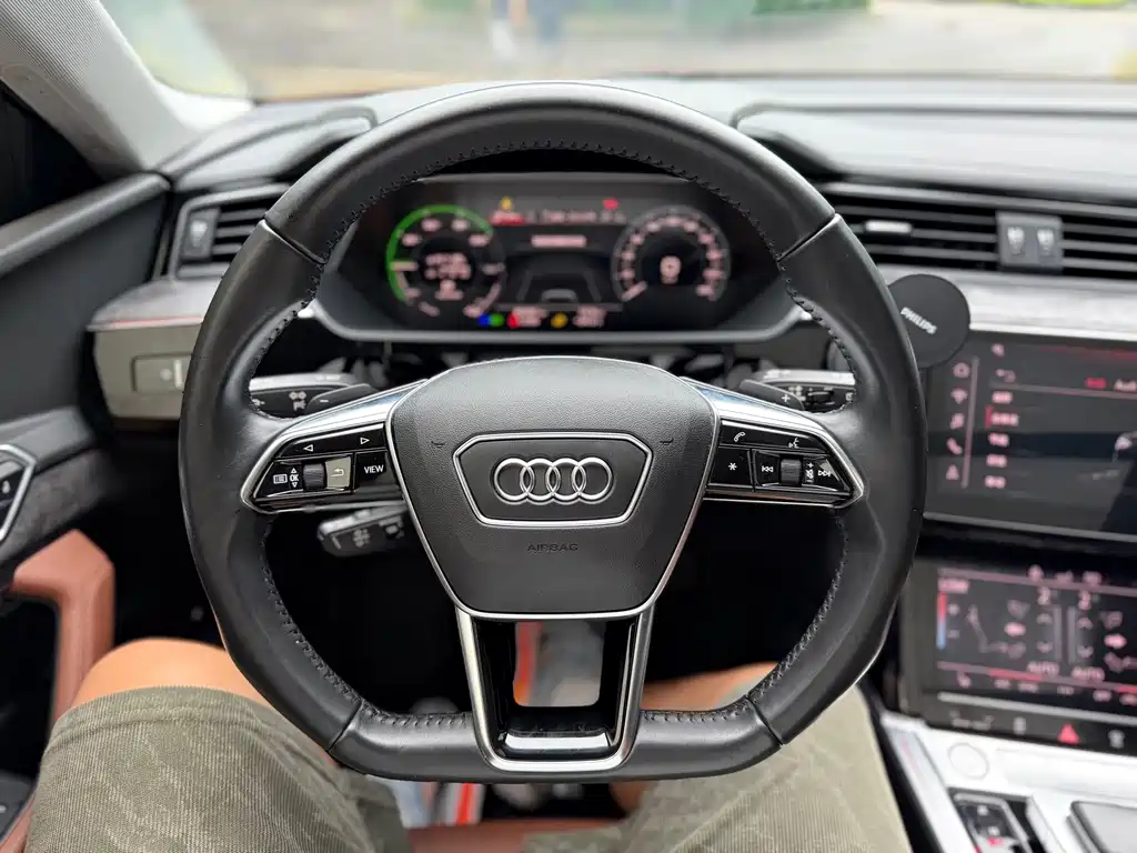 Audi e-tron (Import) — фото 9