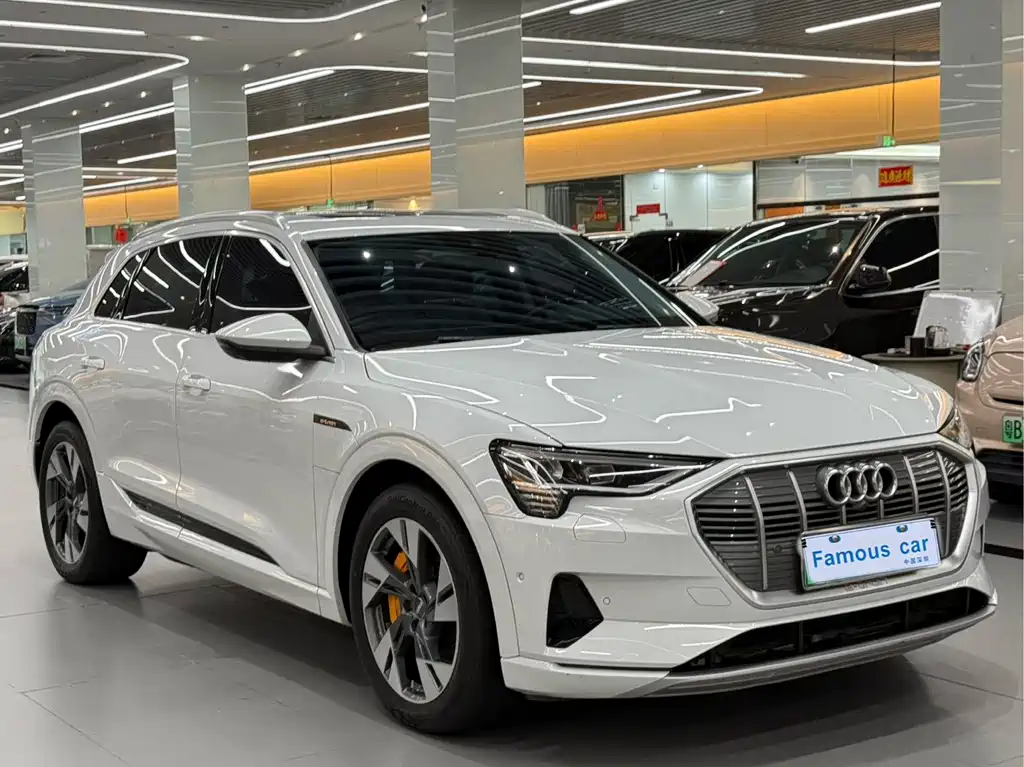 Audi e-tron (Import) — фото 3