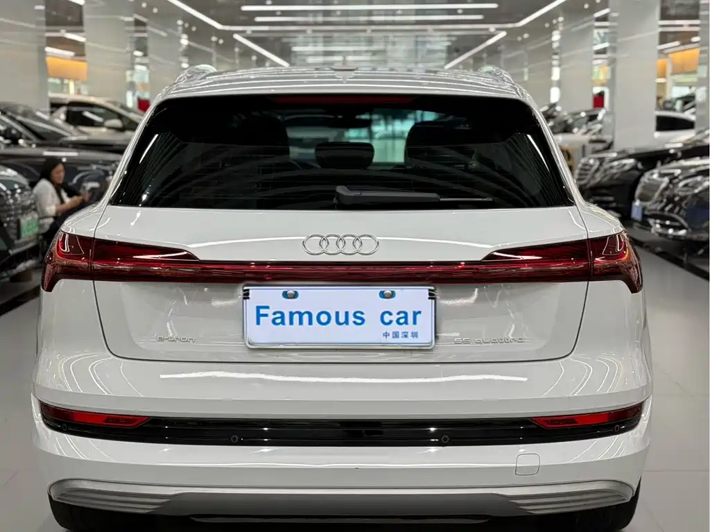 Audi e-tron (Import) — фото 4