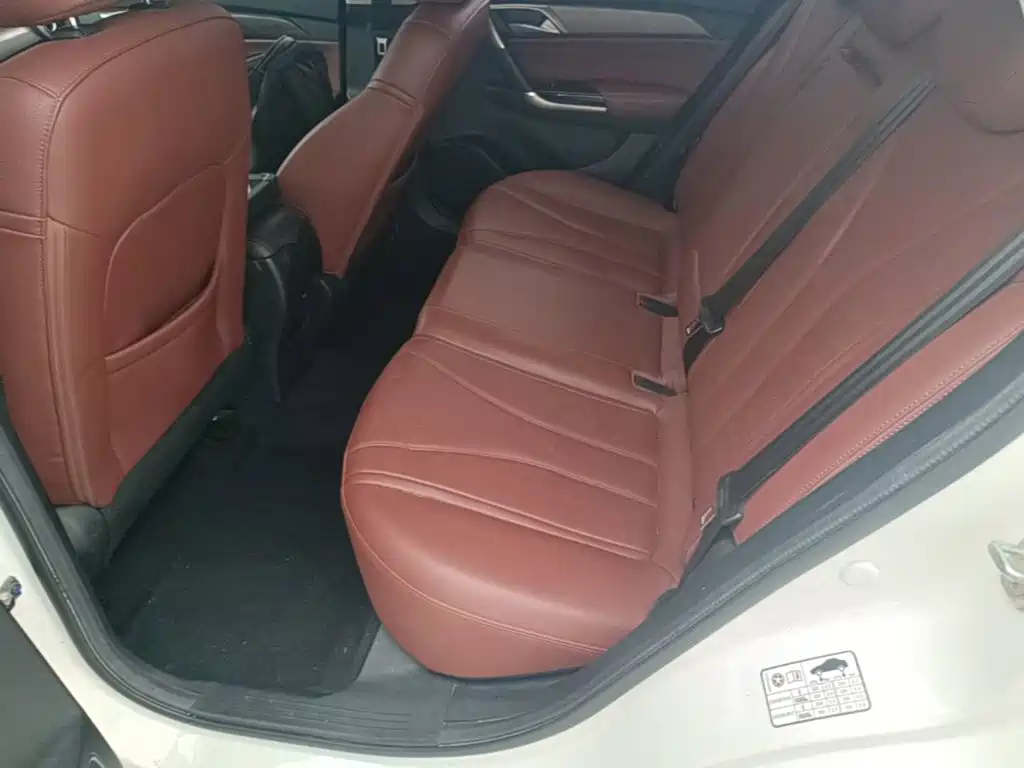 BAIC Senova D50 — фото 17