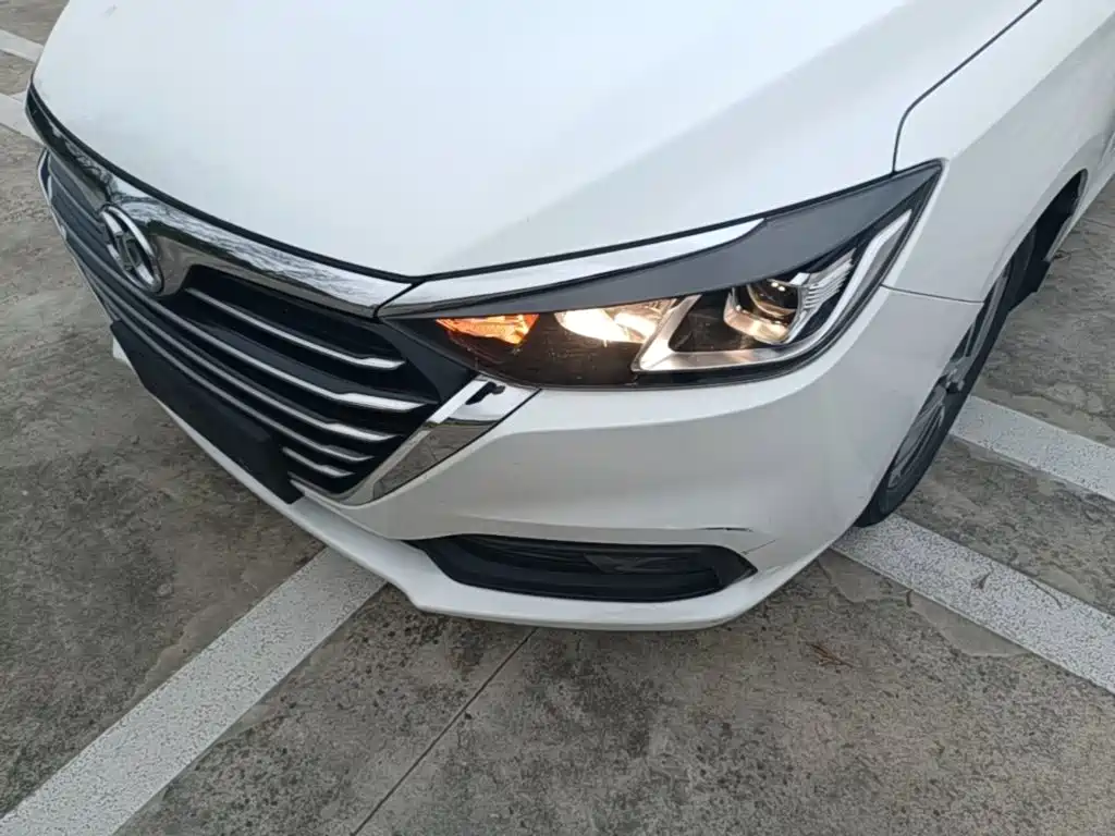 BAIC Senova D50 — фото 24