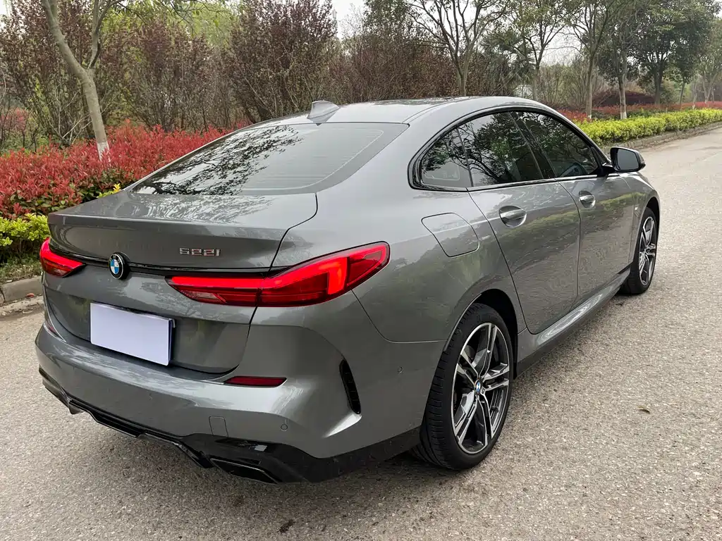 BMW 2 Series (Import) — фото 19