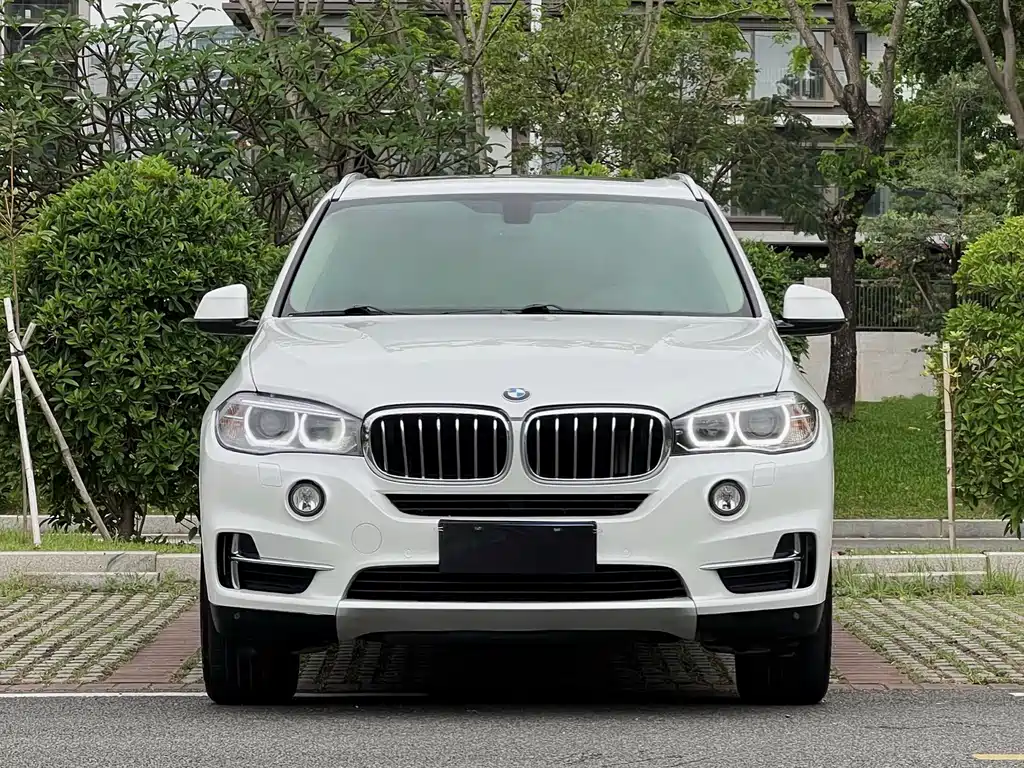 BMW X5 (Import) — фото 2