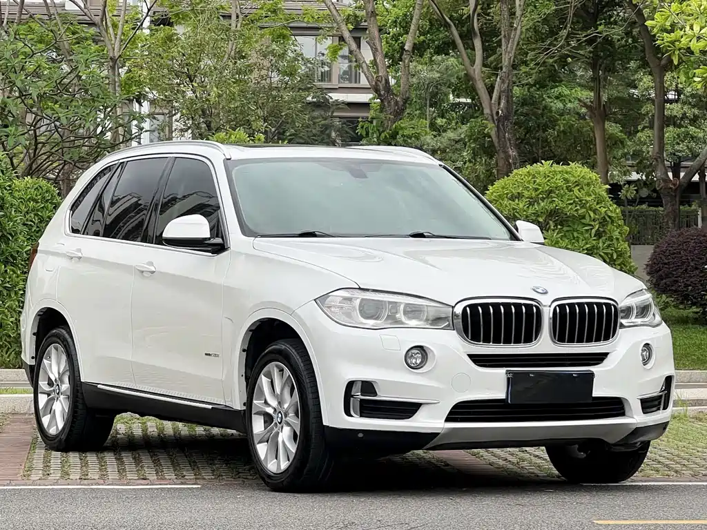 BMW X5 (Import) — фото 3