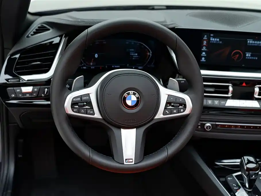 BMW Z4 — фото 10