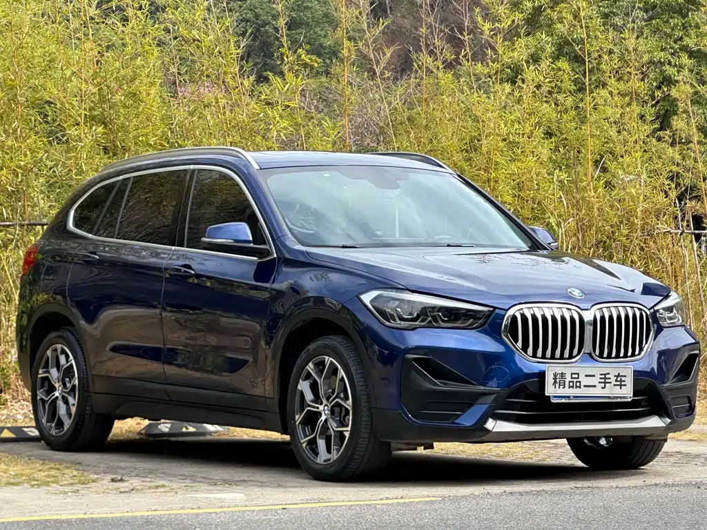 BMW X1 — фото 3