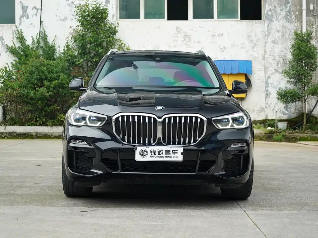 BMW X5 (Import) — фото 2