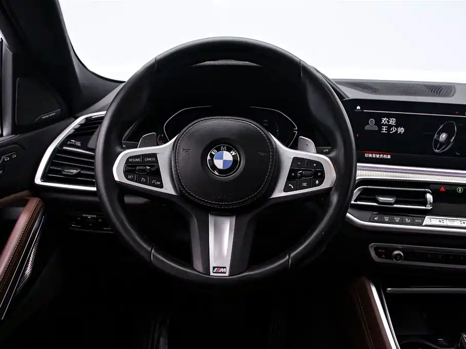 BMW X6 — фото 7