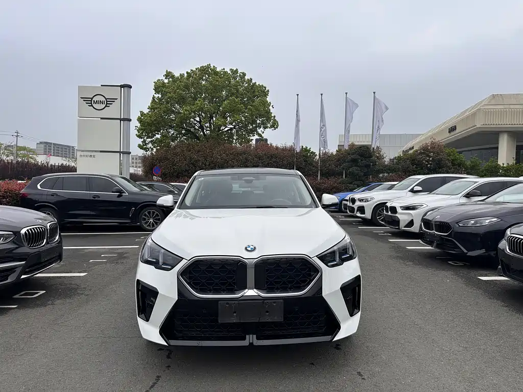BMW X2 (Import) — фото 2
