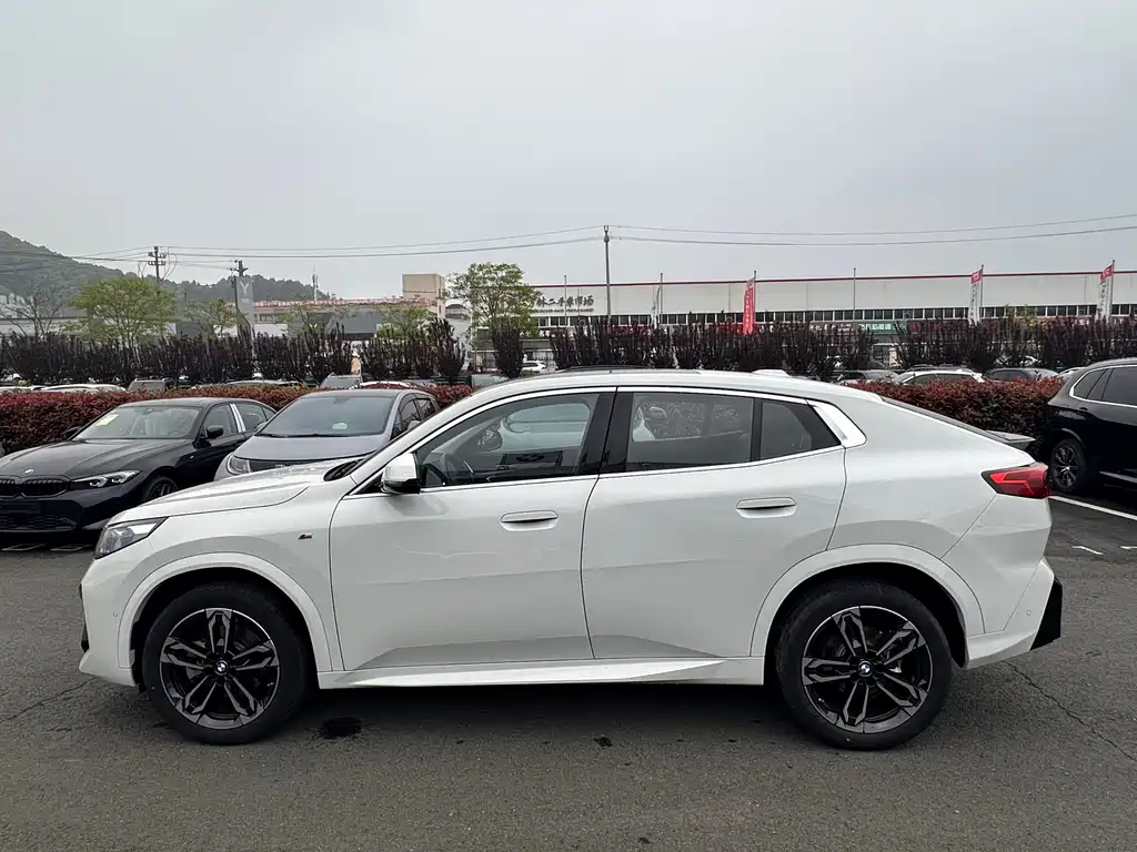 BMW X2 (Import) — фото 5