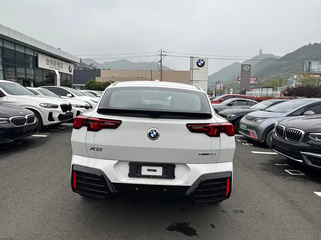 BMW X2 (Import) — фото 6