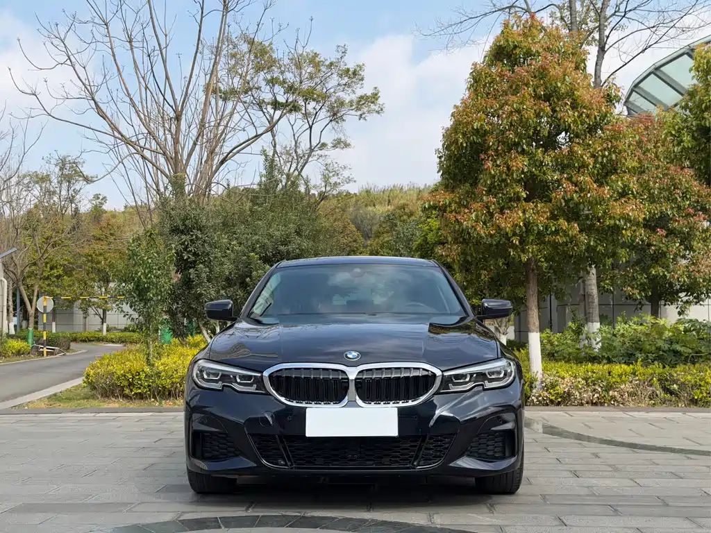 BMW 3 Series — фото 2
