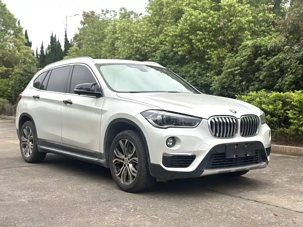 BMW X1 — фото 2