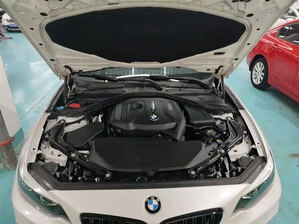 BMW 2 Series (Import) — фото 20