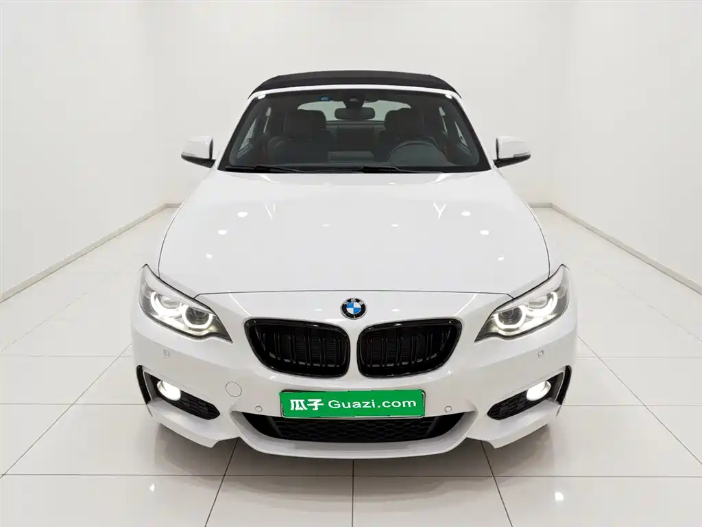 BMW 2 Series (Import) — фото 3