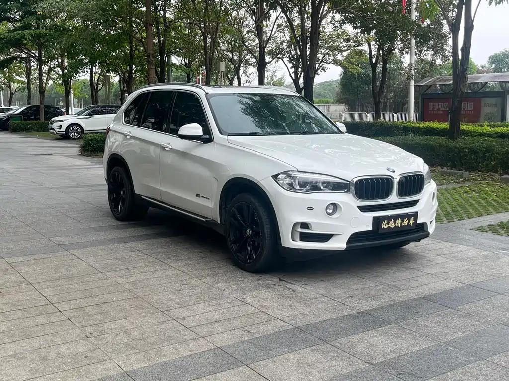 BMW X5 (Import) — фото 3