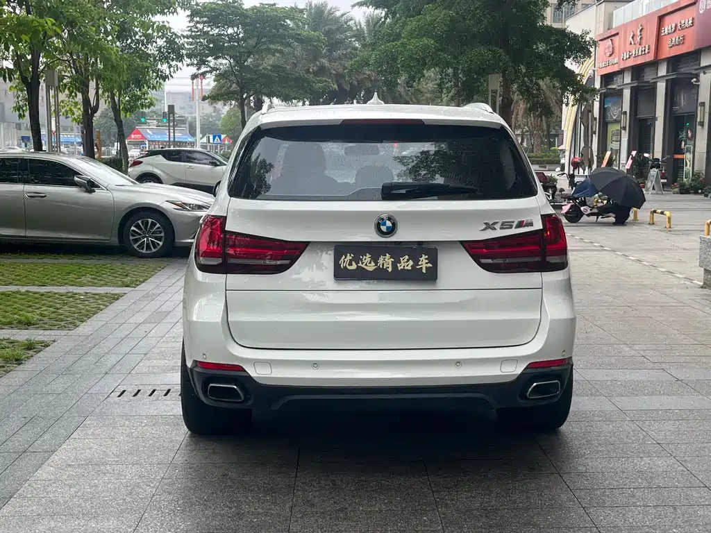 BMW X5 (Import) — фото 6