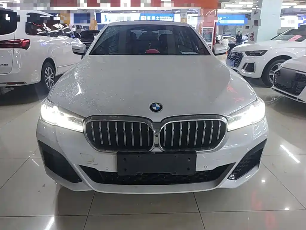 BMW 5 Series New Energy — фото 3
