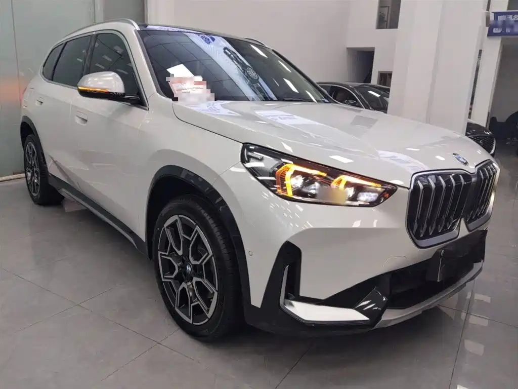 BMW X1 — фото 20