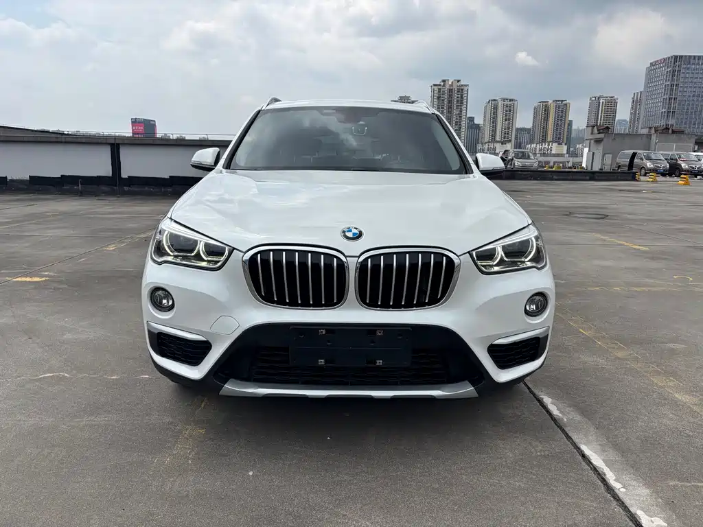 BMW X1 — фото 2