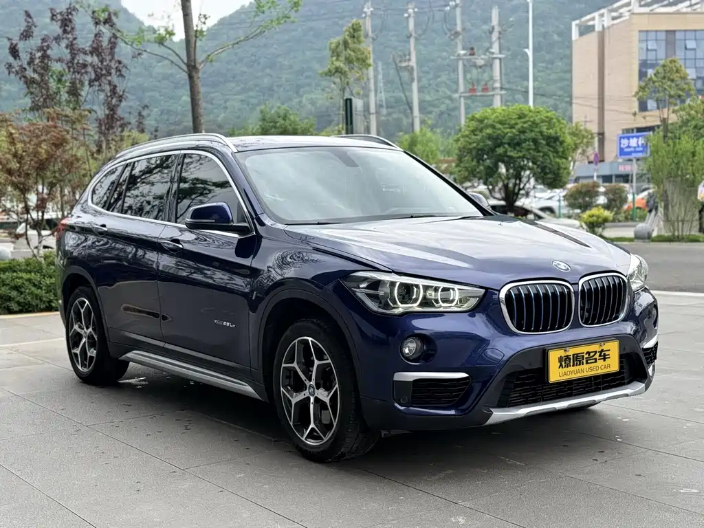 BMW X1 New Energy — фото 3