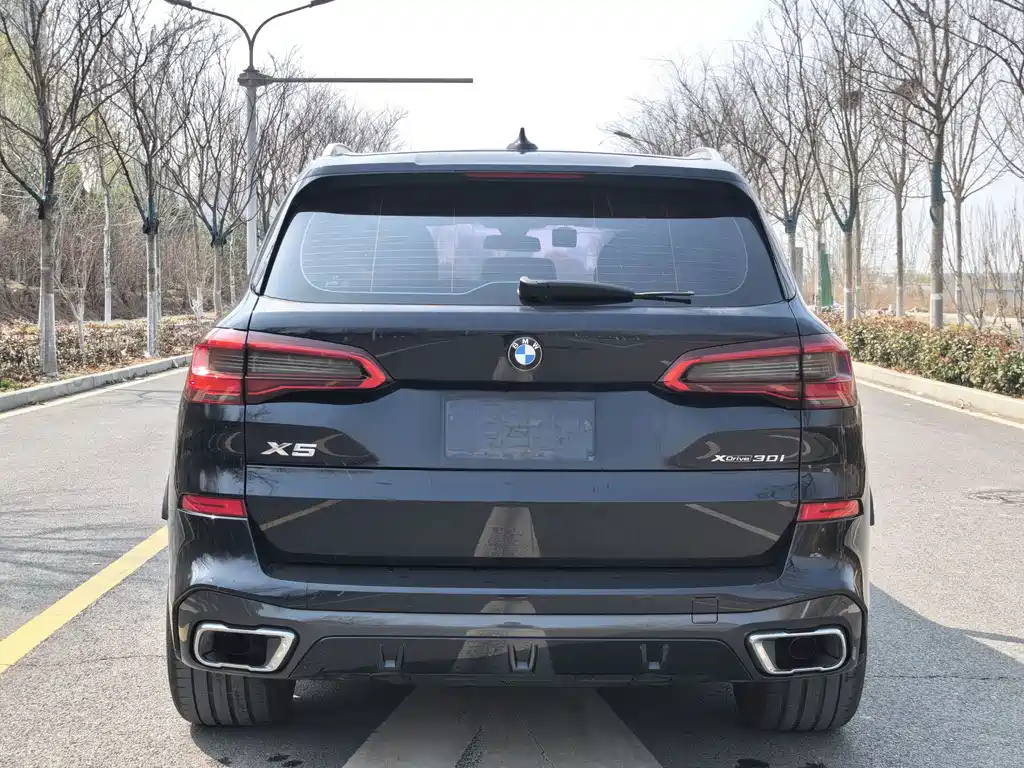BMW X5 (Import) — фото 6