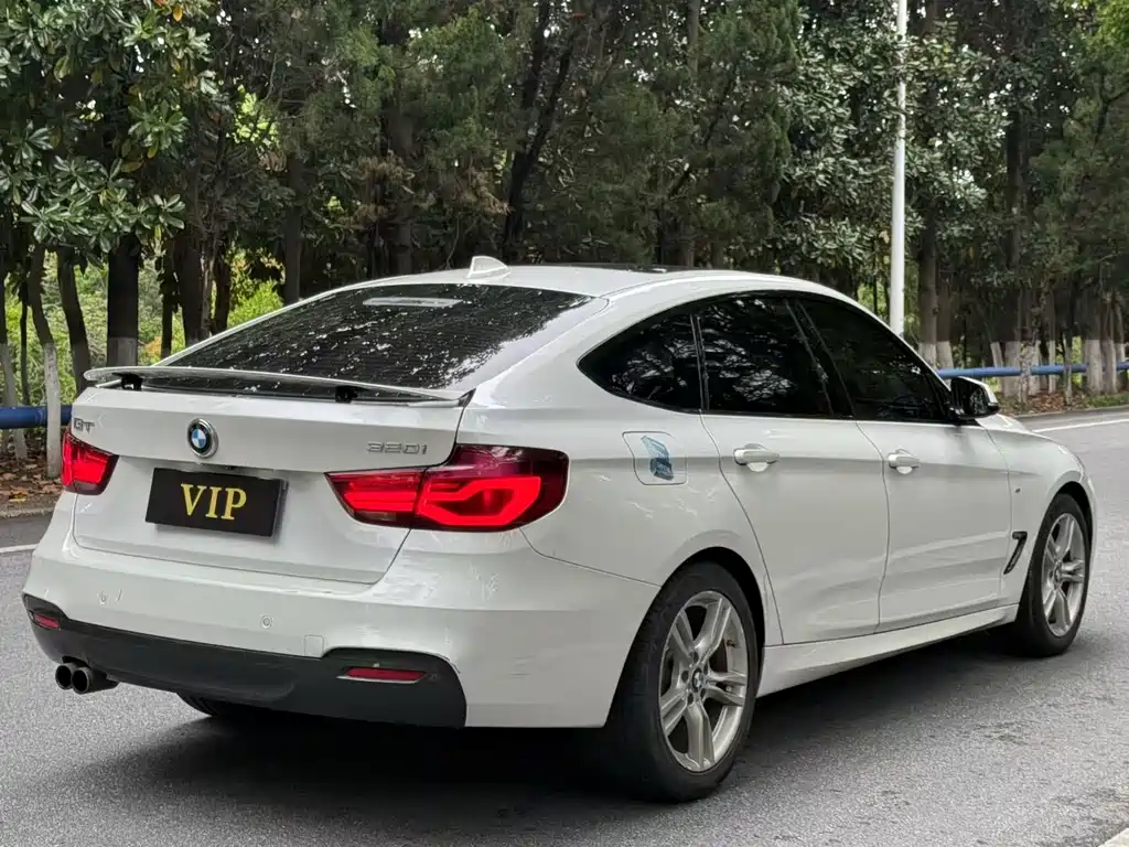 BMW 3 Series GT — фото 8