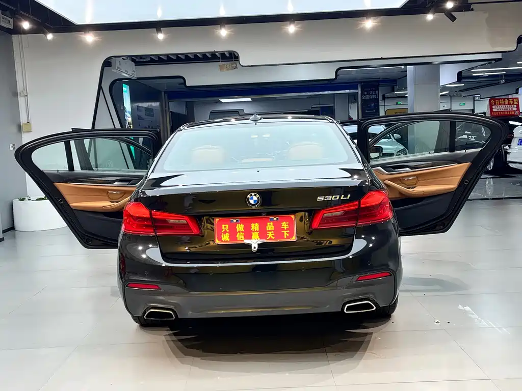 BMW 5 Series — фото 10