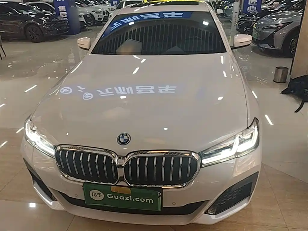 BMW 5 Series New Energy — фото 3