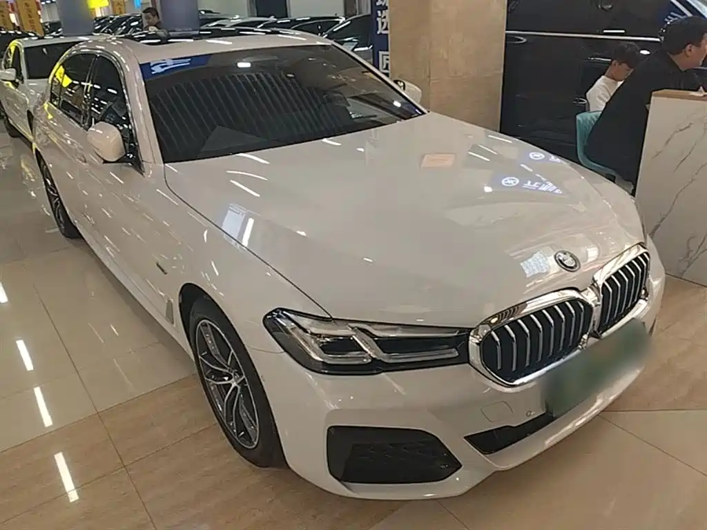 BMW 5 Series New Energy — фото 4