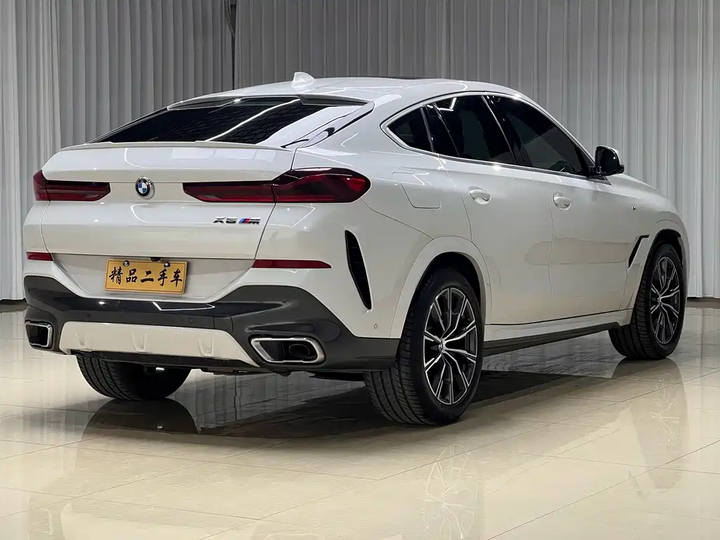 BMW X6 — фото 6
