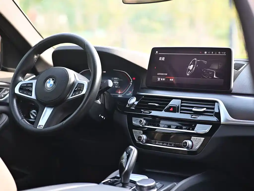 BMW 5 Series (Import) — фото 6