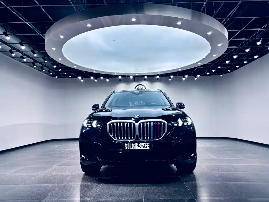 BMW X5 — фото 2