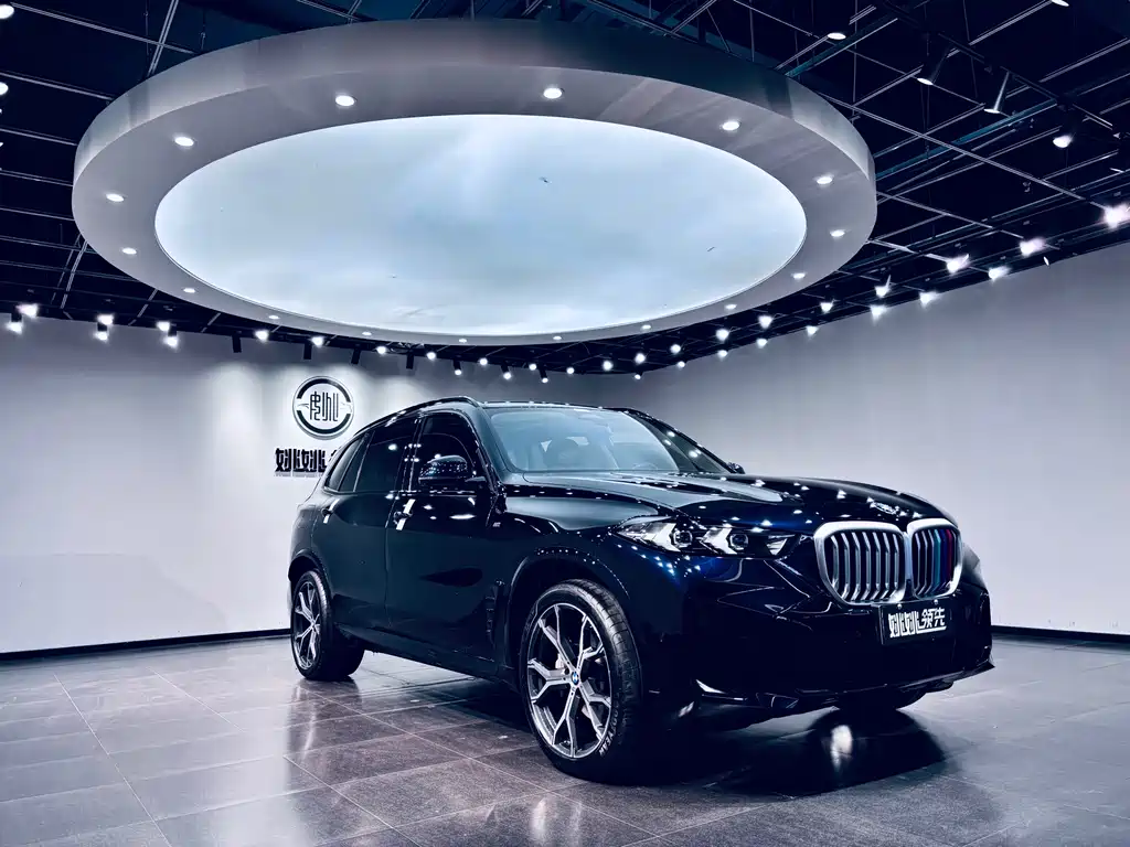 BMW X5 — фото 12