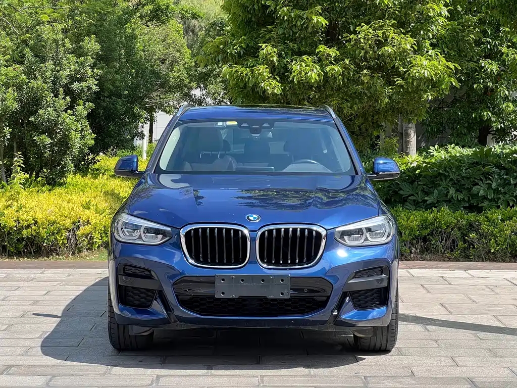 BMW X3 — фото 2