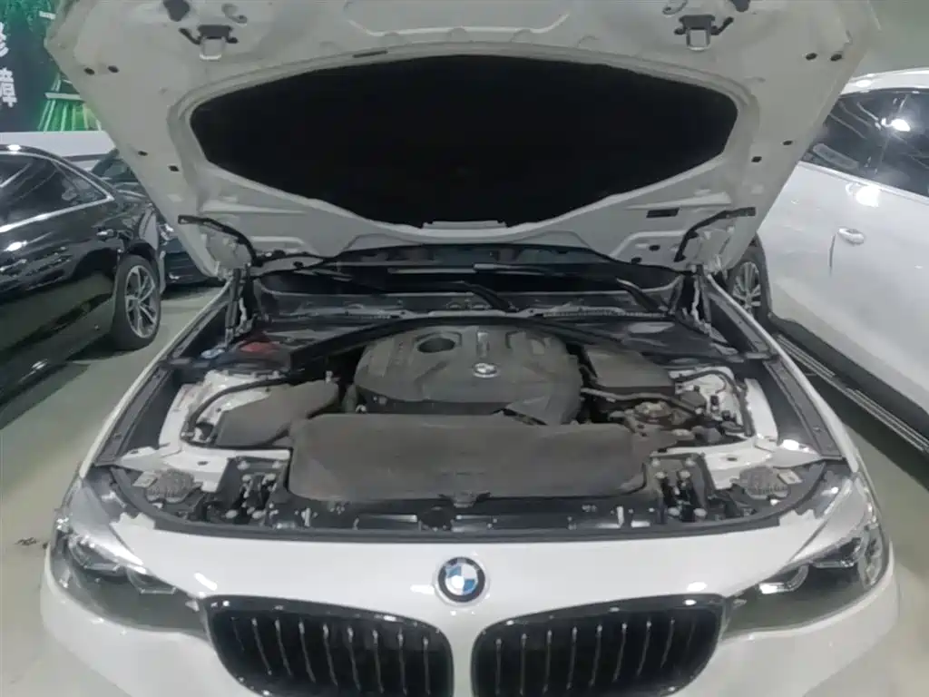 BMW 3 Series GT — фото 20