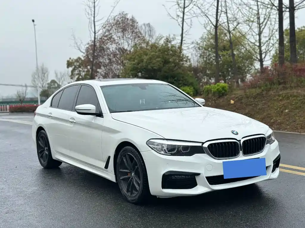 BMW 5 Series (Import) — фото 2