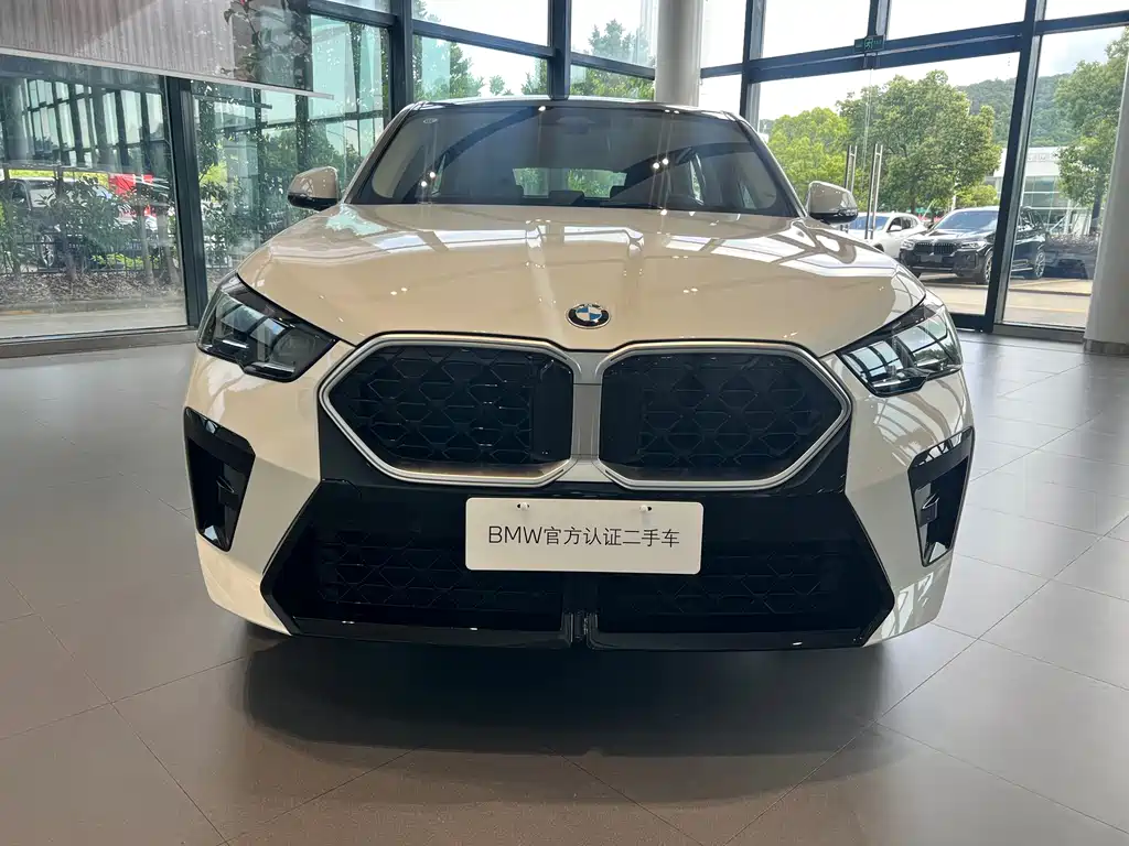 BMW X2 (Import) — фото 2