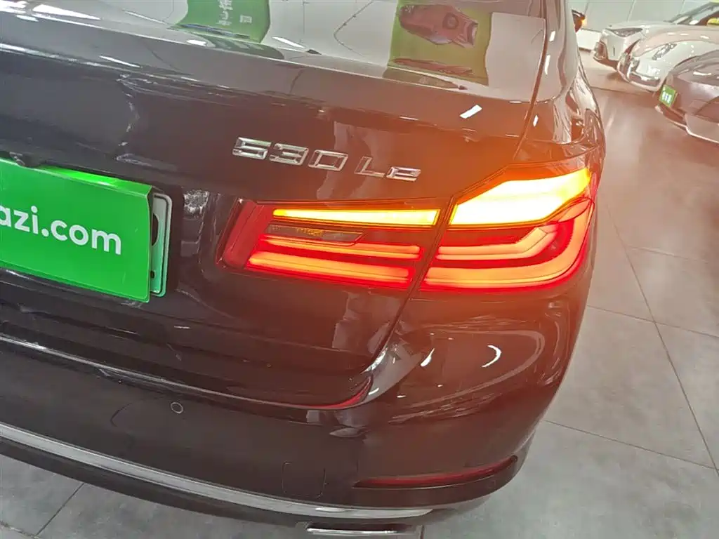 BMW 5 Series New Energy — фото 8