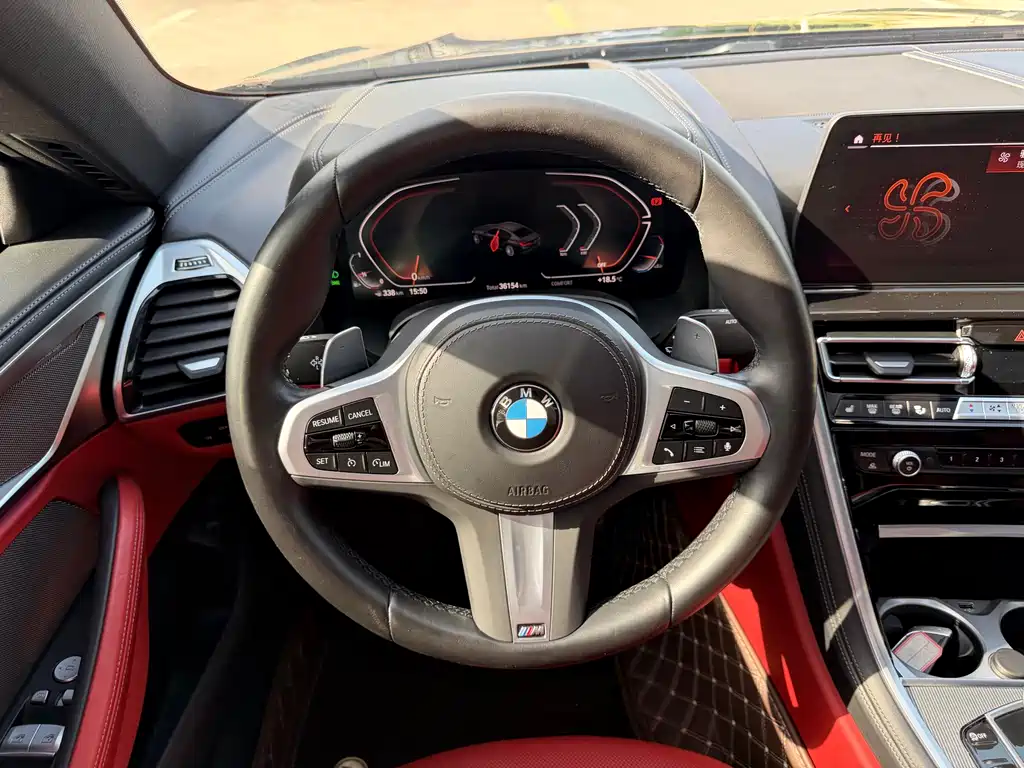 BMW 8 Series — фото 17