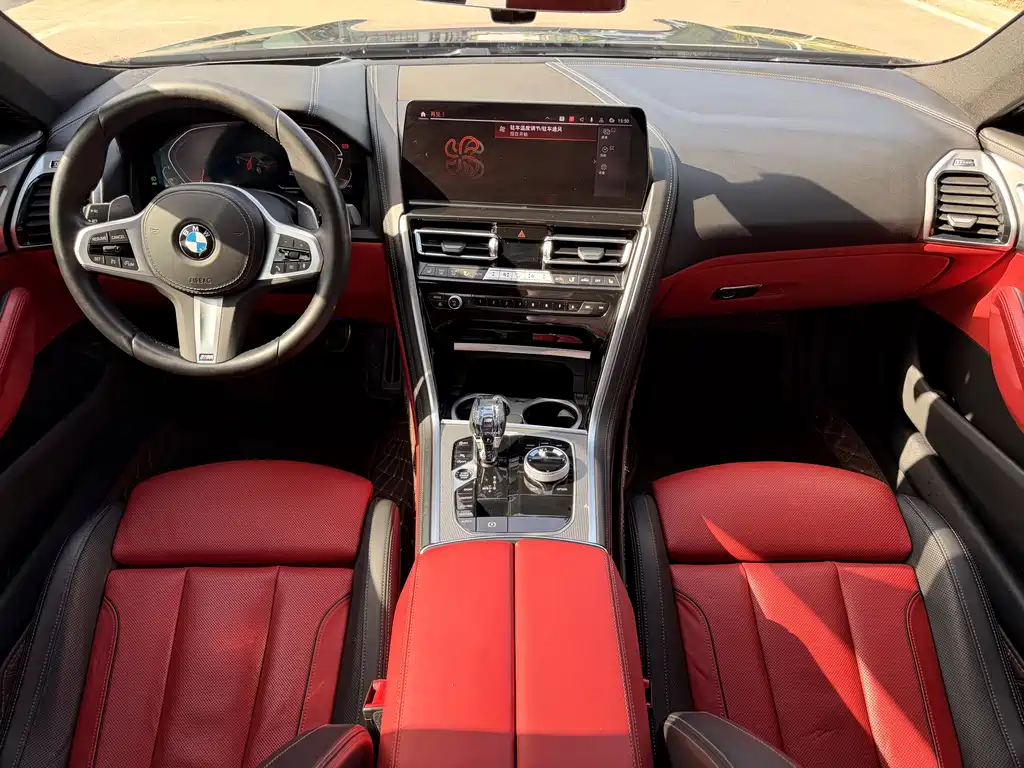 BMW 8 Series — фото 18