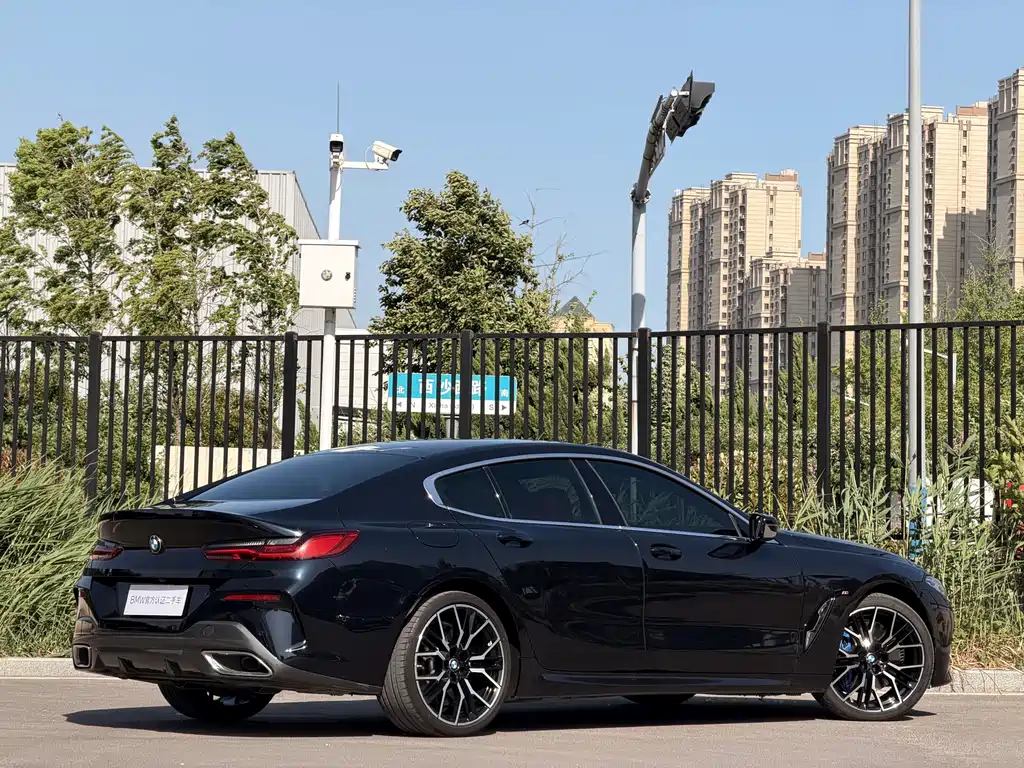 BMW 8 Series — фото 23