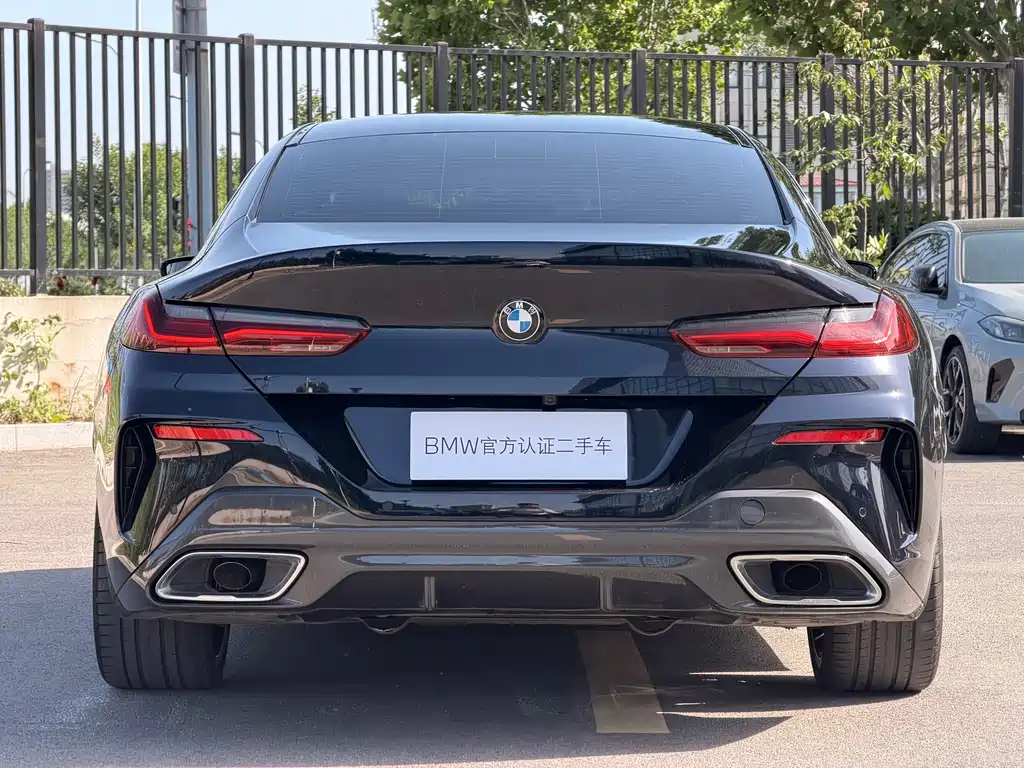 BMW 8 Series — фото 29