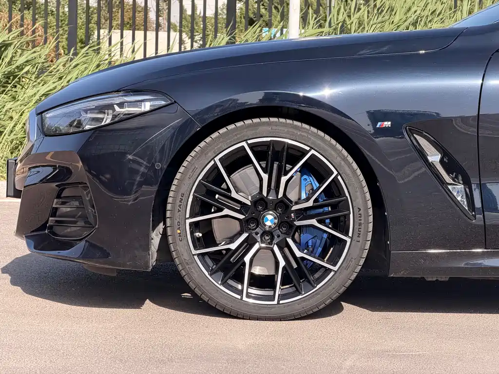 BMW 8 Series — фото 4