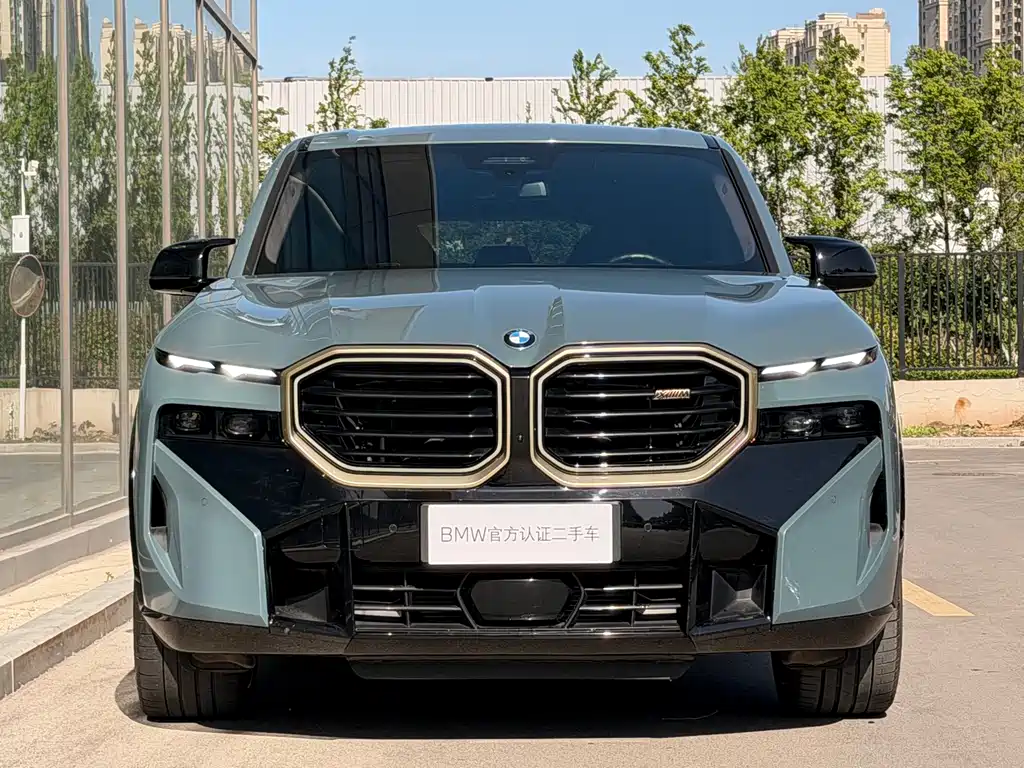 BMW XM — фото 4