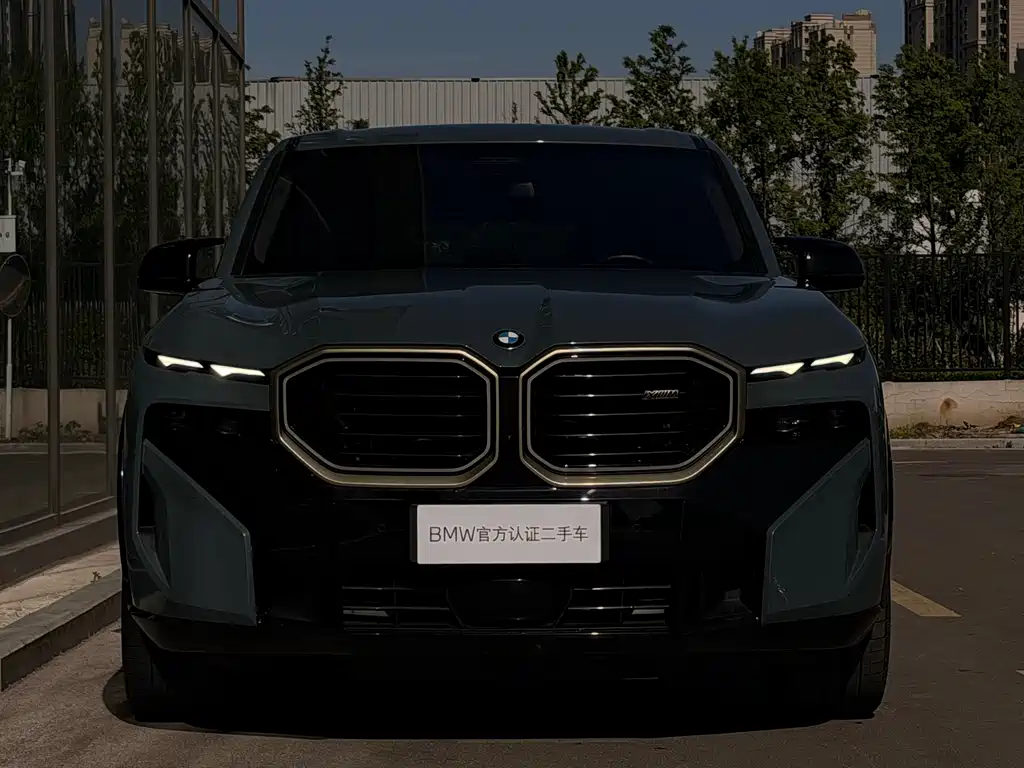 BMW XM — фото 5