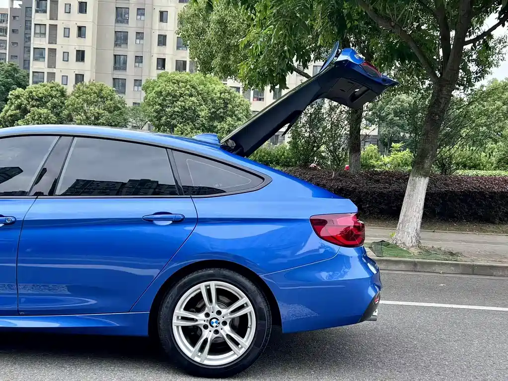BMW 3 Series GT — фото 18