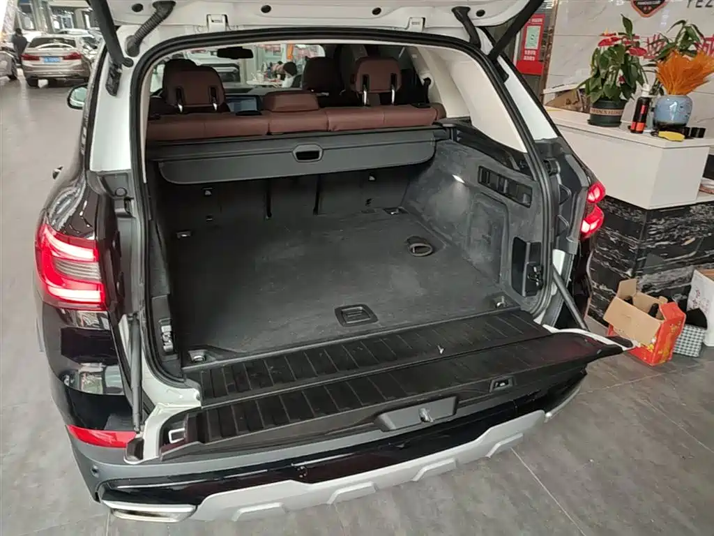 BMW X5 (Import) — фото 19